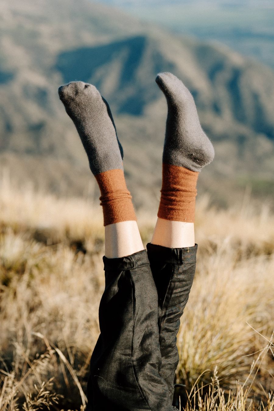 Socken Dunedin